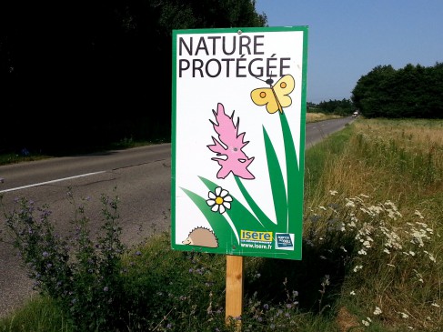 A l'image de cette action sur le fauchage raisonné, initiée par Gentiana en 2002, les naturalistes expliquent qu'il faut gérer autant que nécessaire, mais aussi peut que possible.