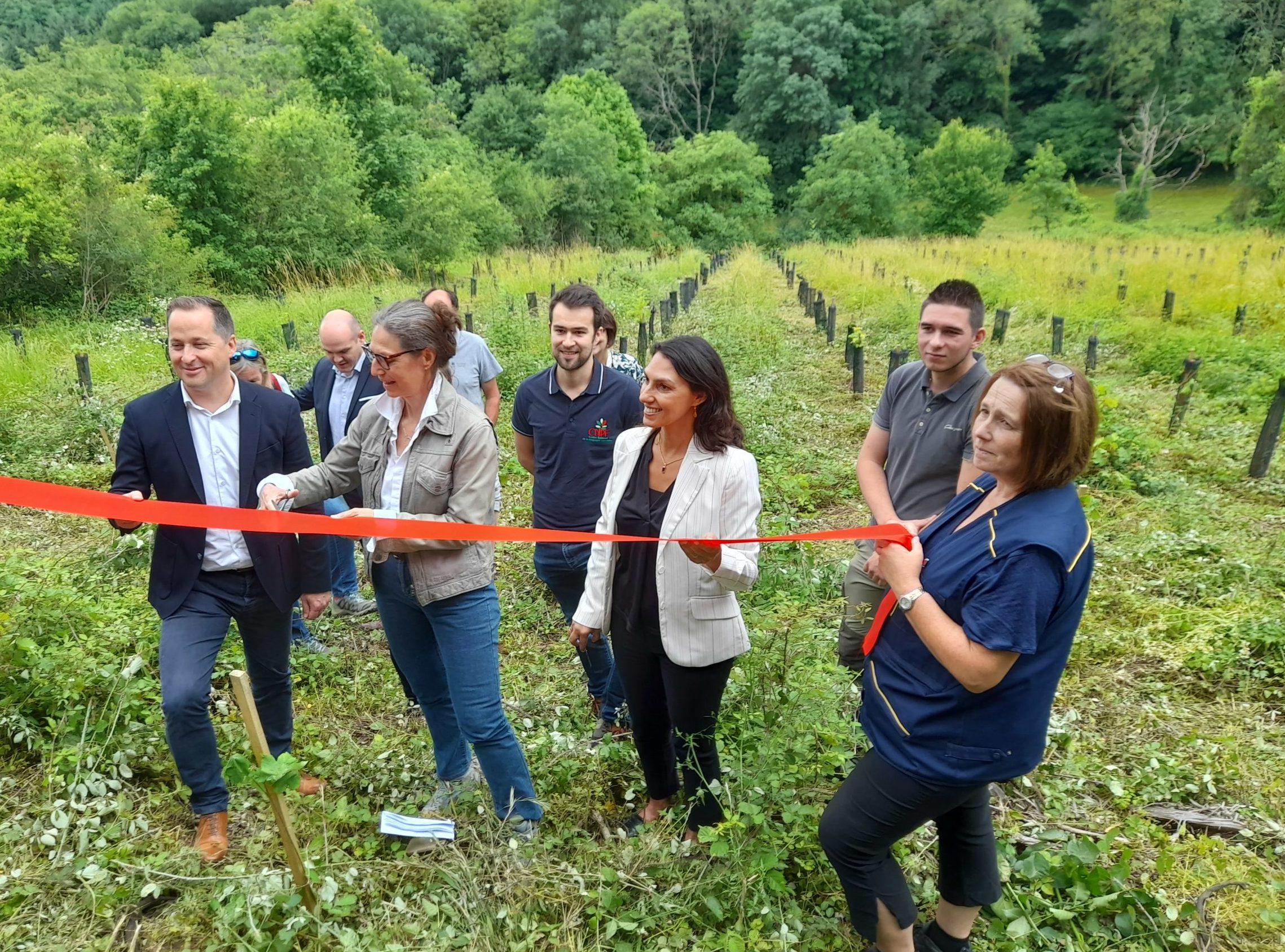 La Poste et Codeo plantent ensemble des  arbres pour compenser leurs émissions