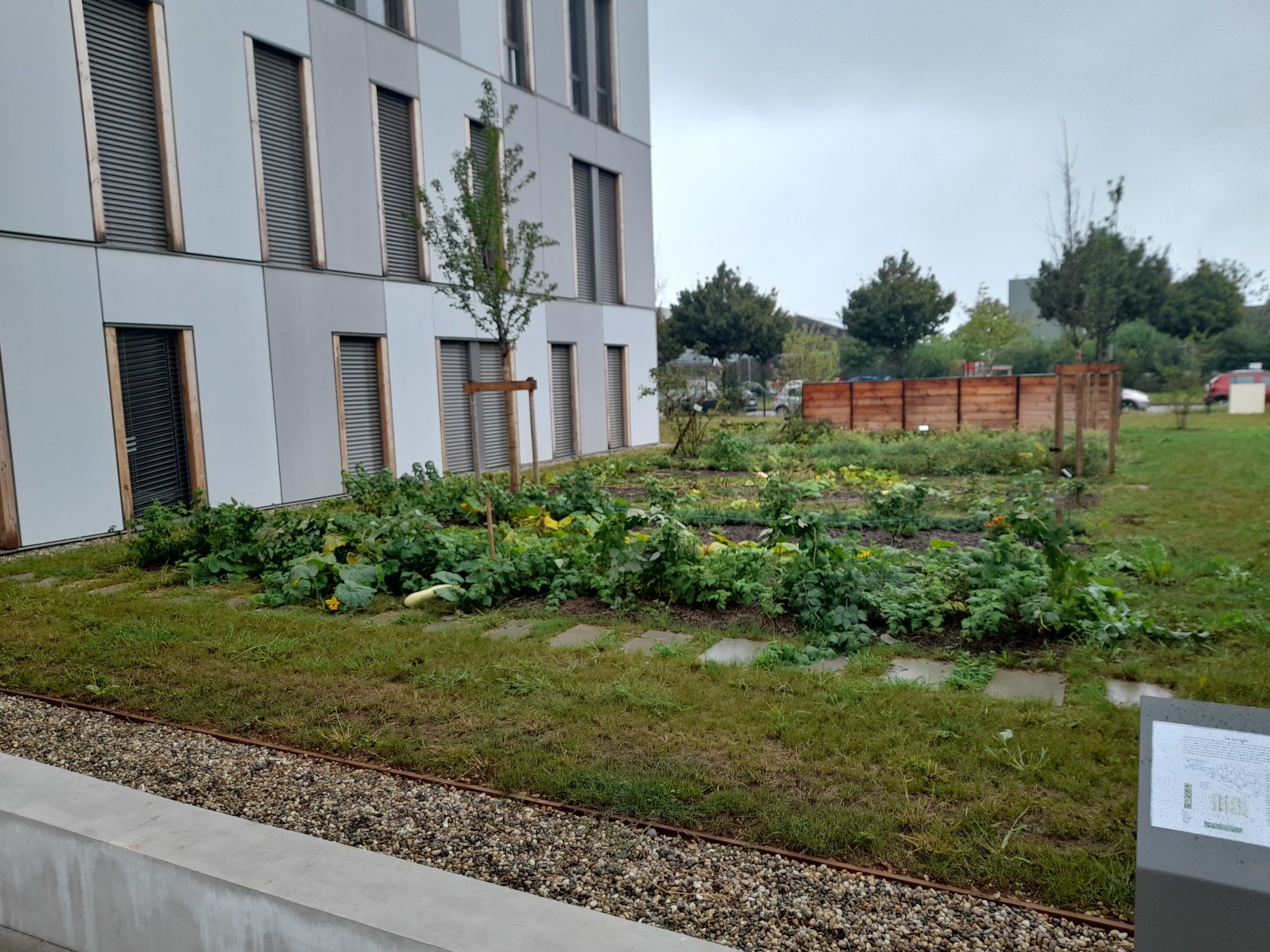 Campus RTE à Jonage : un site très écologique
