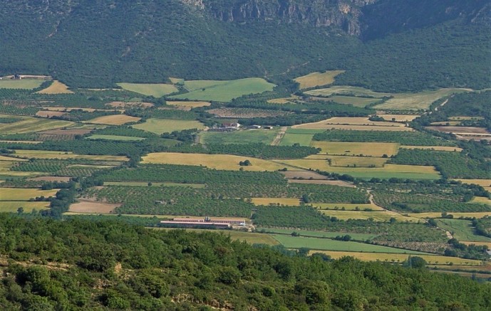 Mosaïque de cultures complexe, avec de petites parcelles et des cultures diversifiées © Jordi Recasens