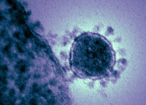 Coronavirus : des cas à Annecy, Lyon et dans le canton de Genève