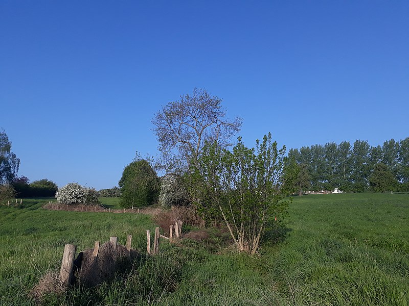 Biodiversité : l’agriculture a un rôle à jouer