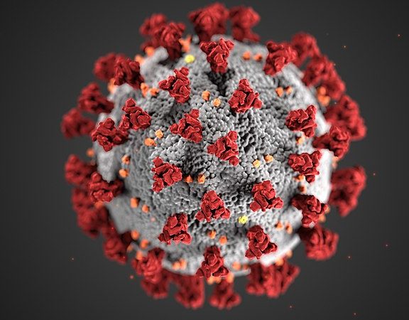 Le Ceser Auvergne-Rhône-Alpes crée un observatoire des impacts du Coronavirus