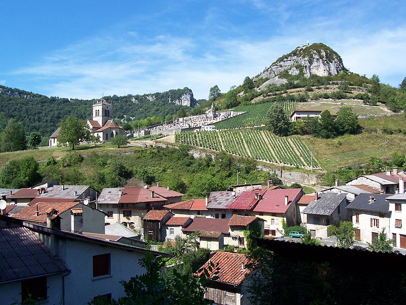 Le vignoble de Cerdon marqué par l’année 2020