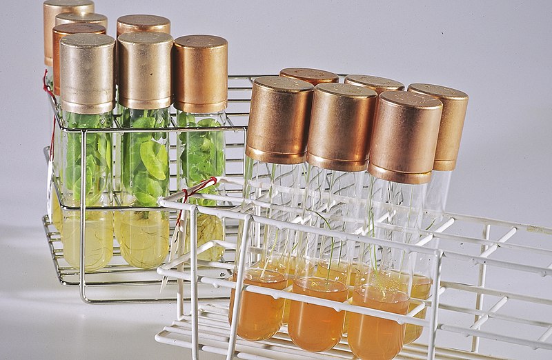 De la naturalité au consommateur : appel à manifestation d’intérêt