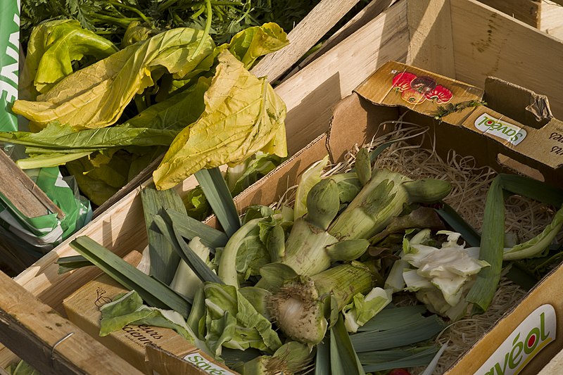 La Métropole de Lyon lance un appel à projets pour la réduction des déchets