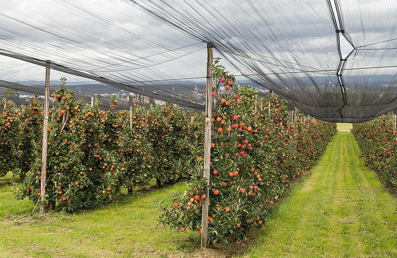 Les élus au secours d’une agriculture frappée par les évènements climatiques