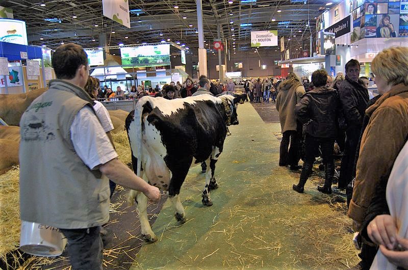 L’agriculture en transition installe les générations futures