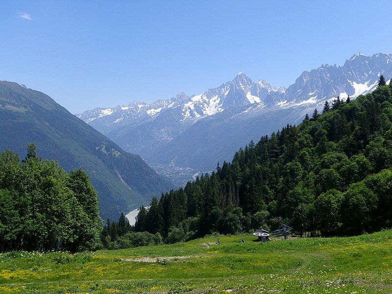 Création de la Route forestière du col de Voza : l’Autorité environnementale demande davantage de précision