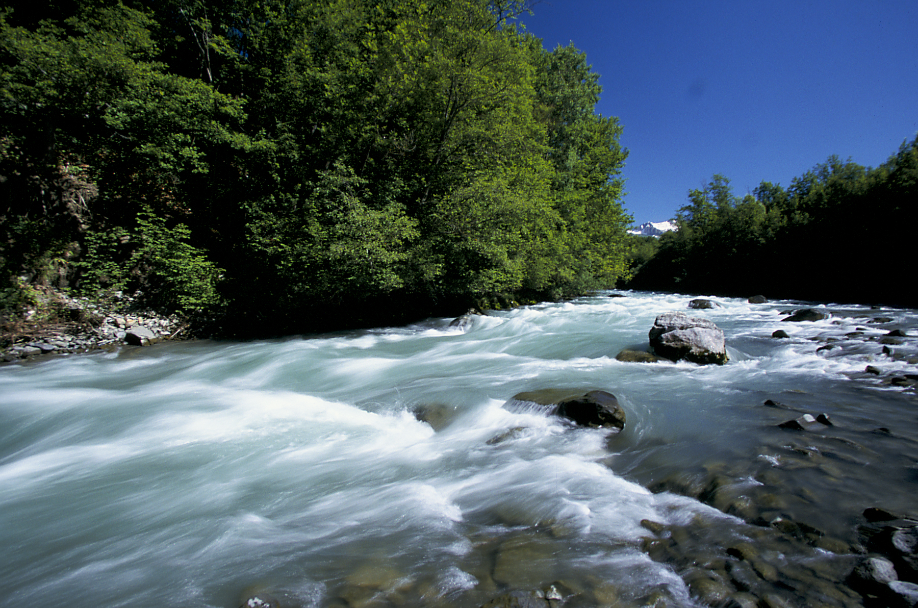 1 470 projets soutenus par l’Agence de l’eau Rhône-Méditerranée Corse au troisième trimestre
