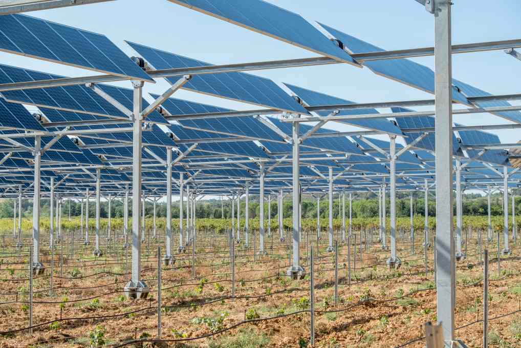 Installation d'agrivoltaïsme à Tresserre ( Pyrénées Orientales) _ credit Sun'R (8)