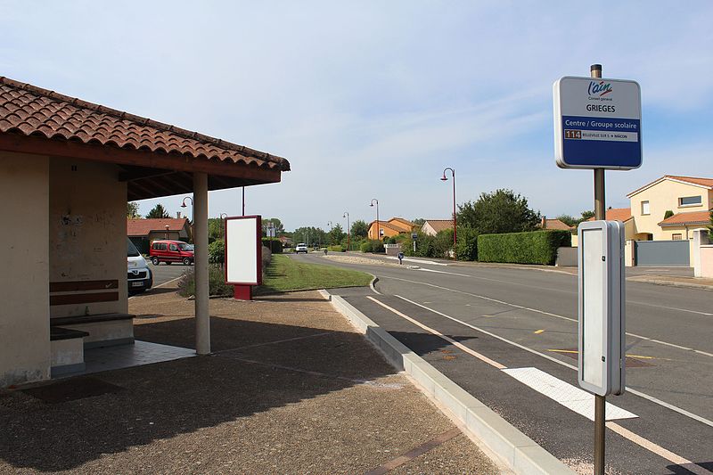 Transports scolaires et interurbains : 5 000 cars pour 5 500 lignes en Auvergne-Rhône-Alpes
