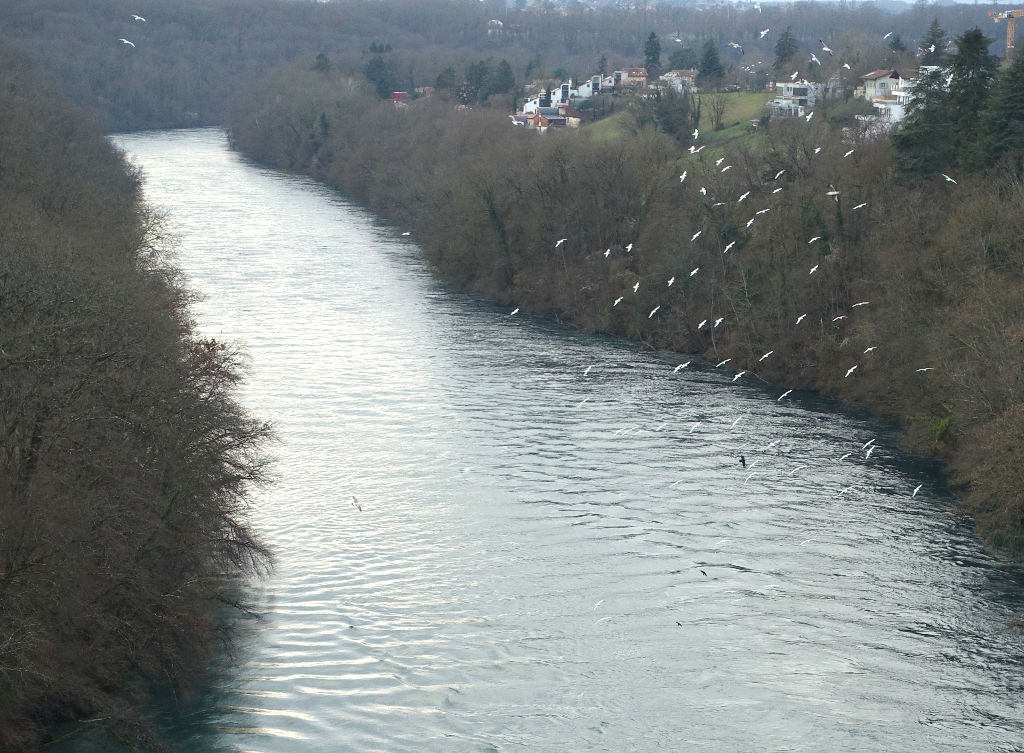 Haut Rhône : la chasse des sédiments repoussée en 2021