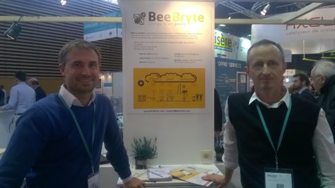 Bee Bryte