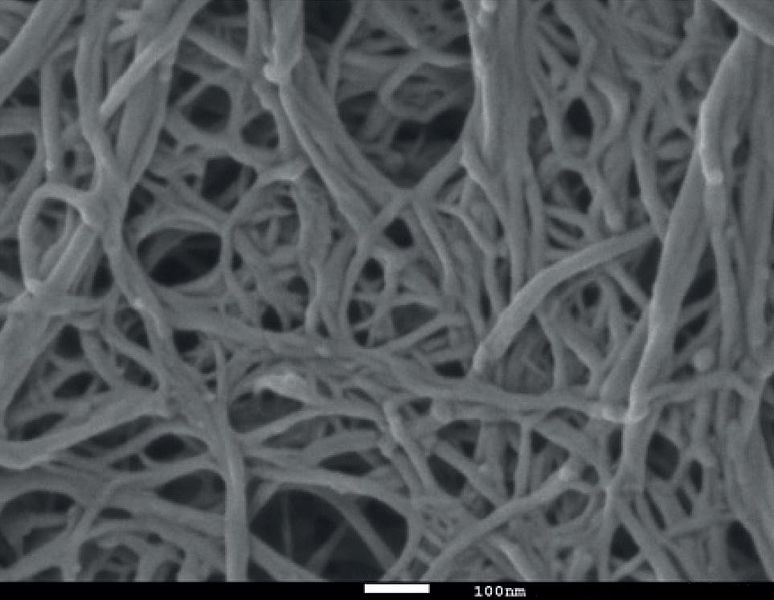 Pagora : une thèse ouvre la voie à une production de nanofibrilles de cellulose de haute qualité