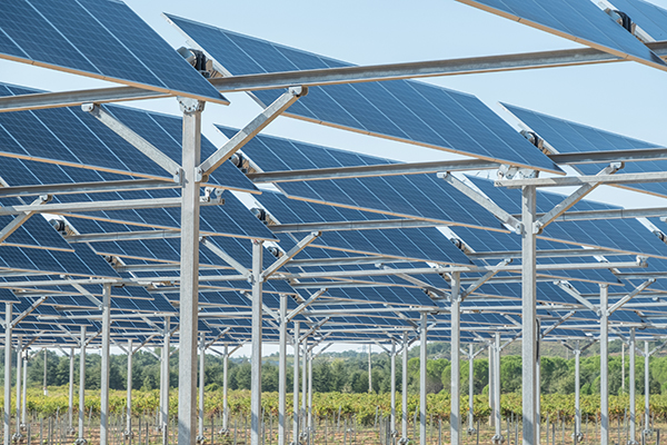 L’agrivoltaïsme et Sun’Agri boostés par l’appel d’offres « solaire photovoltaïque innovant ».