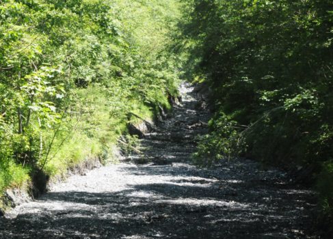 Cours asséché d'un torrent de montagne - ©Bruno Mortgat - Enviscope.com