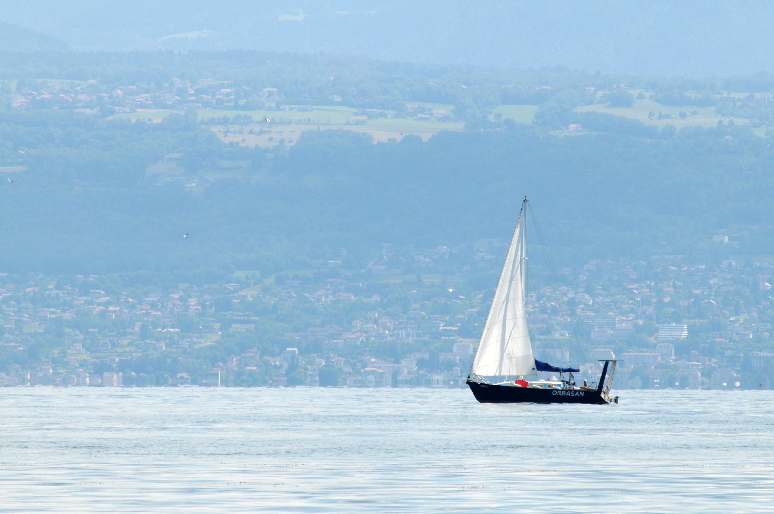 Les captures de la pêche ont augmenté en 2020 dans le Léman