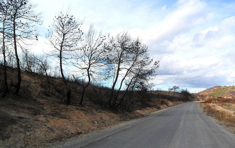 Feux de forêts : la Drôme en alerte