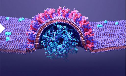 Institut Laue Langevin : toute une gamme de neutrons pour scruter la matière