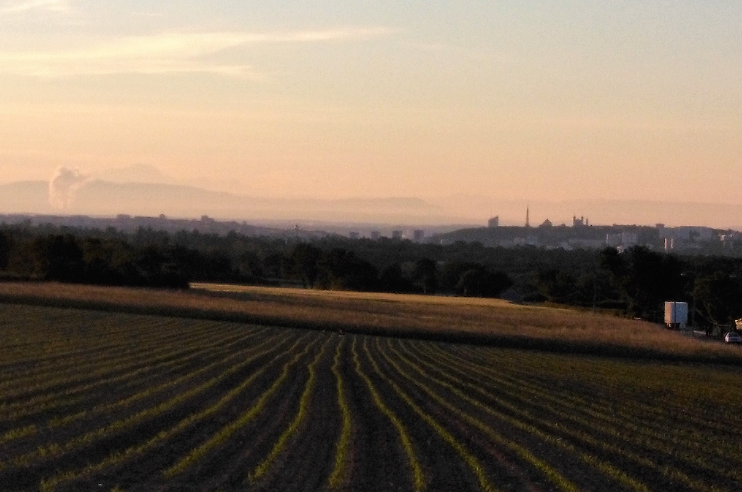 Agriculture périurbaine : un appel à projets de la Métropole de Lyon
