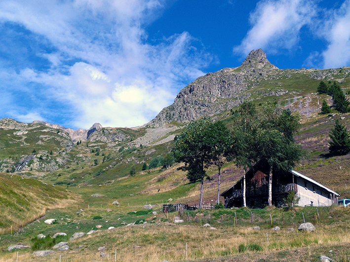 La Haute-Savoie engagée pour la préservation des alpages