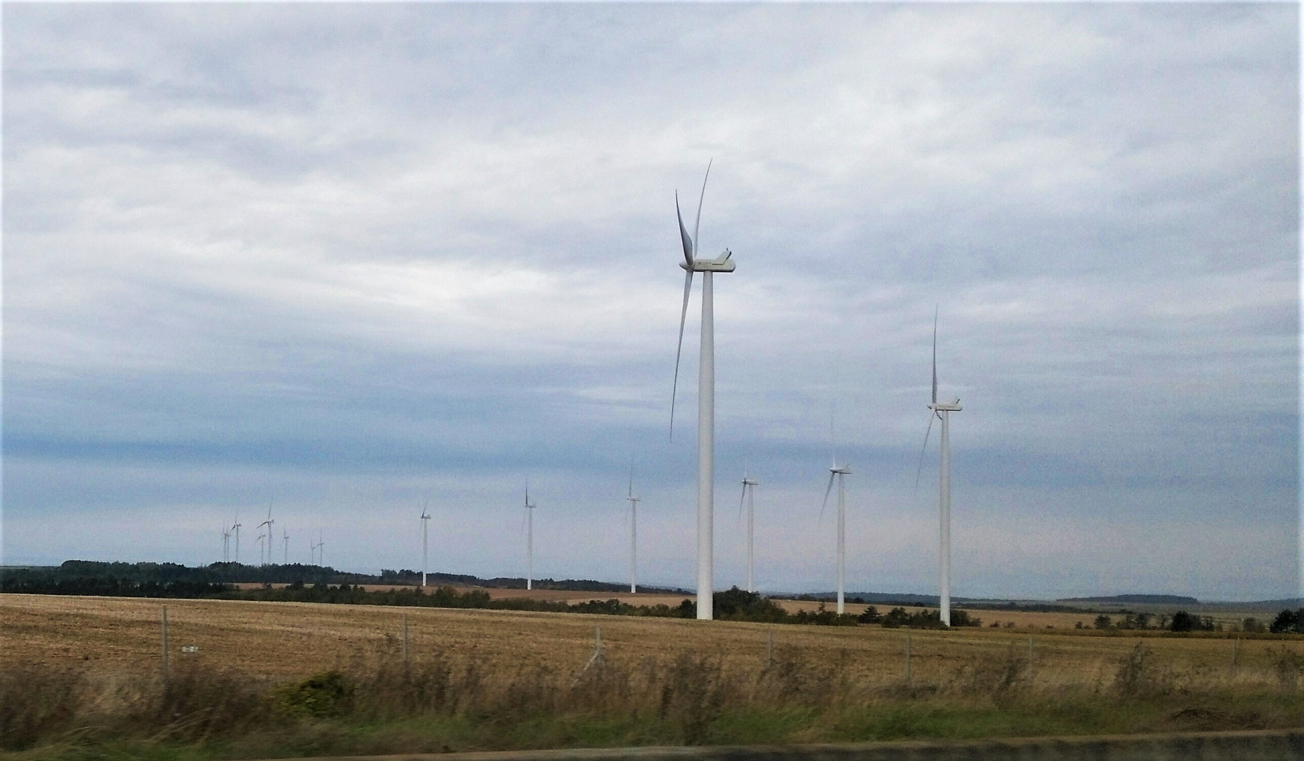 Eolien : le Gouvernement met de l’huile dans la croissance