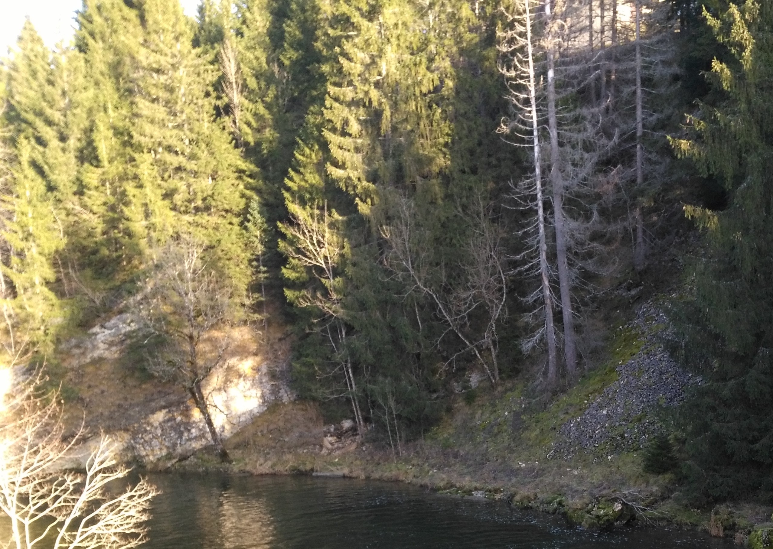 Agriculture et forêt : les deux secteurs vont coopérer