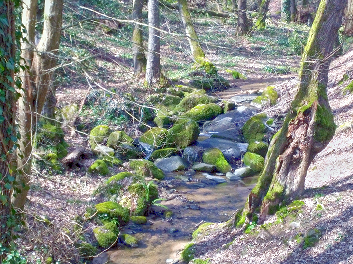 Sècheresse : les communes du bassin-versant de l’Yzeron mobilisées