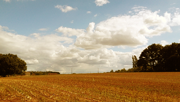 Un plan régional à 900 M€ pour l’agriculture et la forêt face au changement climatique