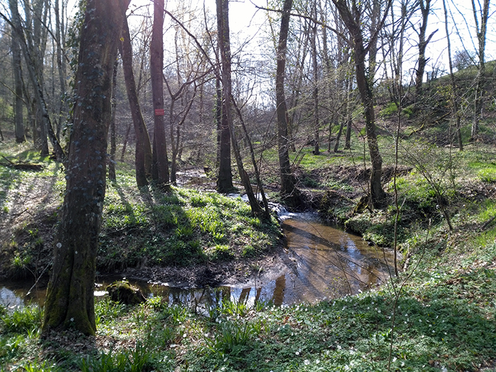 La nuit, les cours d’eau émettent beaucoup plus de CO2