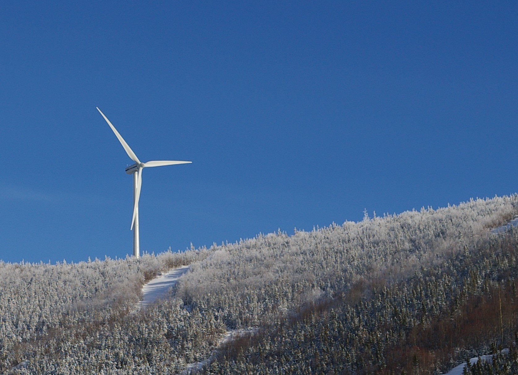 Permis de construire confirmés pour deux parcs éoliens dans la Loire