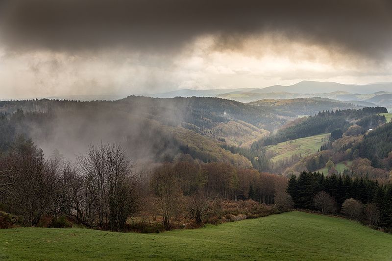 Forêt : le Parc naturel régional du Pilat mobilise citoyens et propriétaires