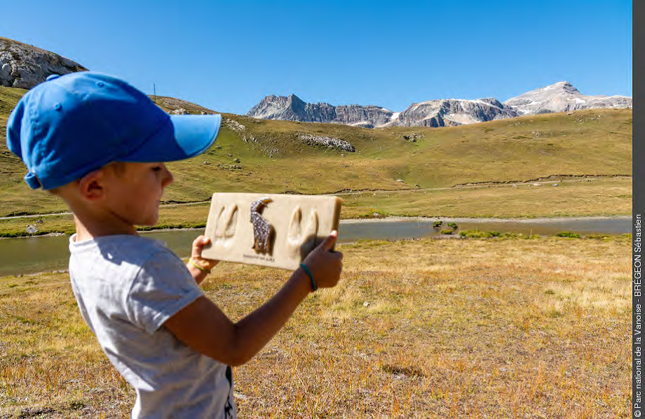 Plan de relance : le Parc national de la Vanoise s’engage aux côtés du territoire