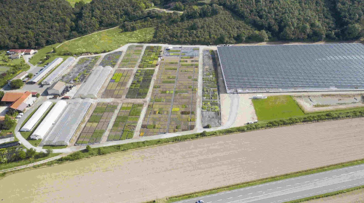 Une serre solaire de deux hectares en Isère