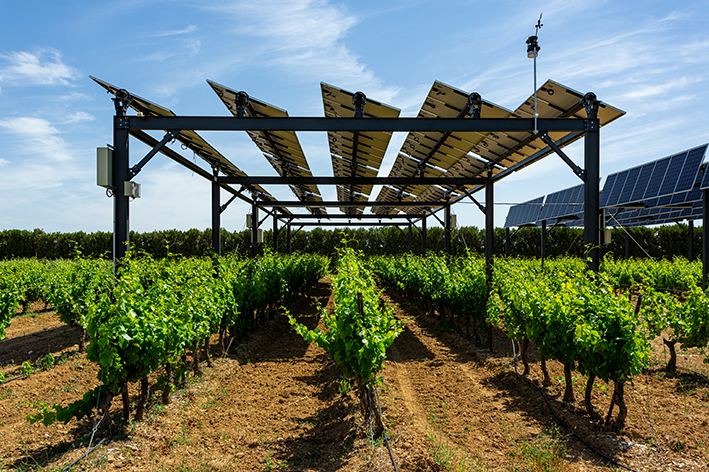 Agrivoltaïsme : 22 exploitations agricoles vont s’équiper avec la technologie de Sun’Agri