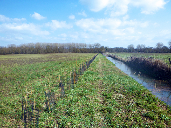Agence de l’eau Rhône-Méditerranée-Corse : 10 millions d’euros pour la biodiversité