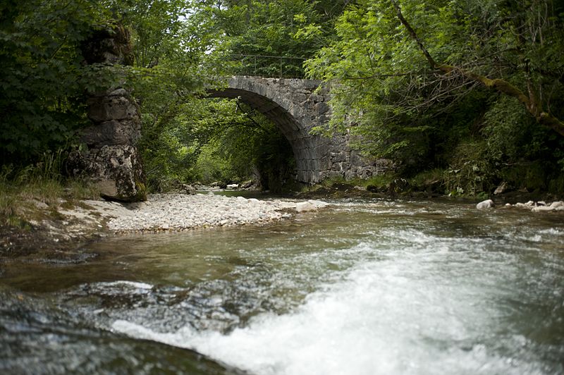 Le Guiers Mort labellisé « Site Rivières sauvages »