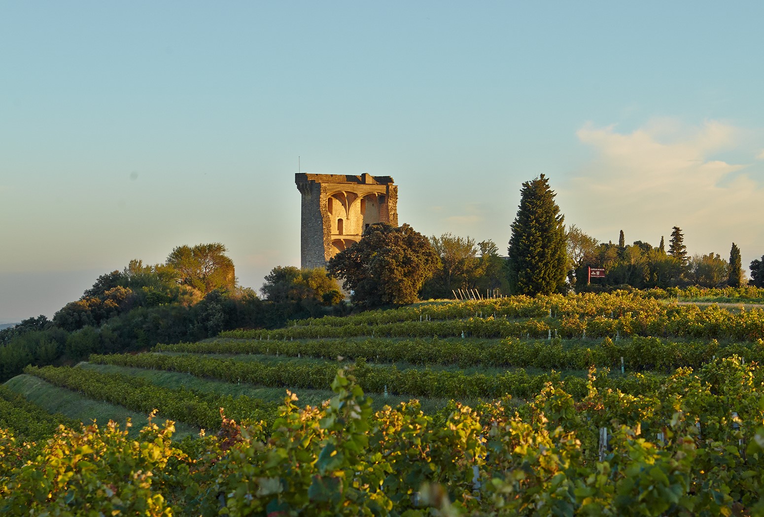 Climat : les nouveaux vins arrivent en Auvergne-Rhône-Alpes