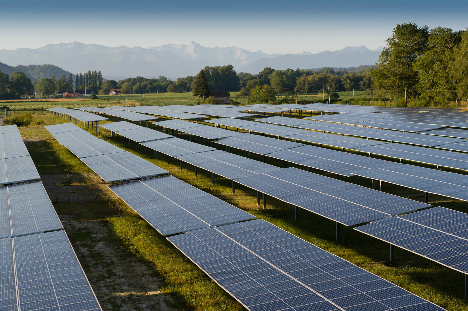 Total développera 80 MW de solaire pour Orange