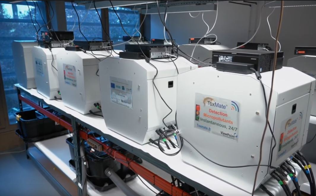 Eau potable : Viewpoint détecte les micropolluants en observant des invertébrés