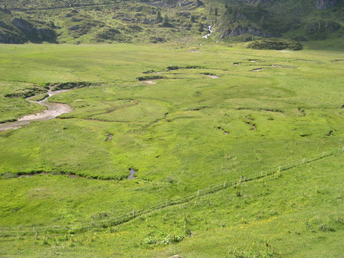Le Vallon du Réchy est l'un des derniers milieux non équipés du canton du Valais - photo canton du Valais)