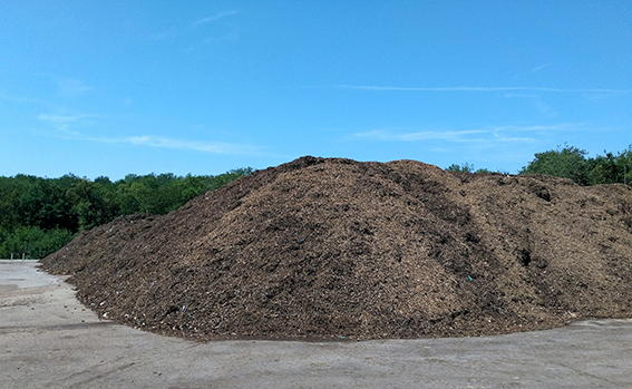 Métropole de Lyon : la collecte saisonnière des déchets verts reprend