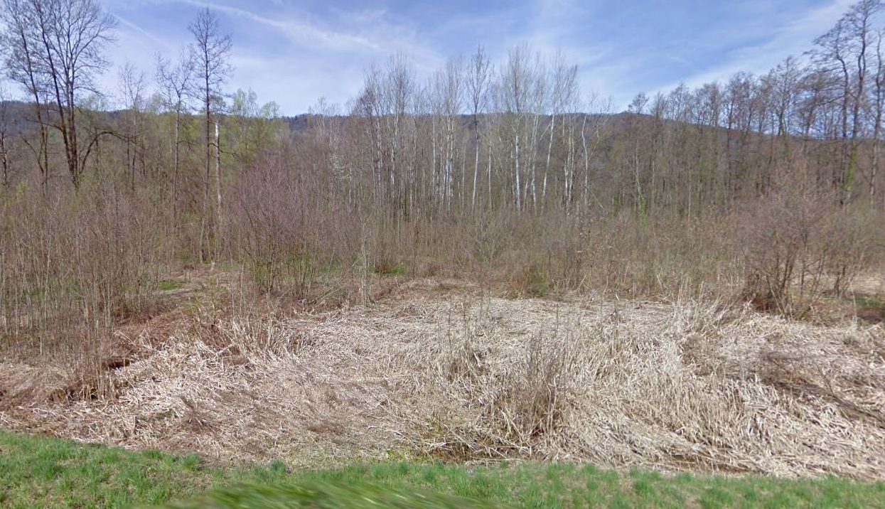 MND et l’ONF partenaires pour restaurer des forêts publiques en montagne