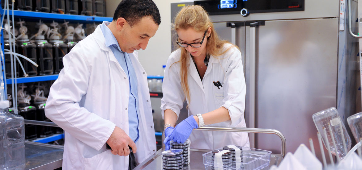 Le groupe De Sangosse évalue les produits de biocontrôle d’Amoeba