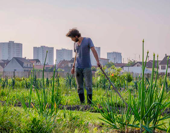 De l’agriculture urbaine dans les quartiers avec « Les Quartiers Fertiles »