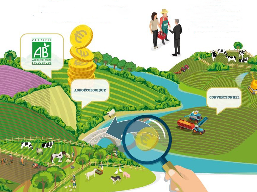 Agroécologie : France Stratégie indique les bonnes options
