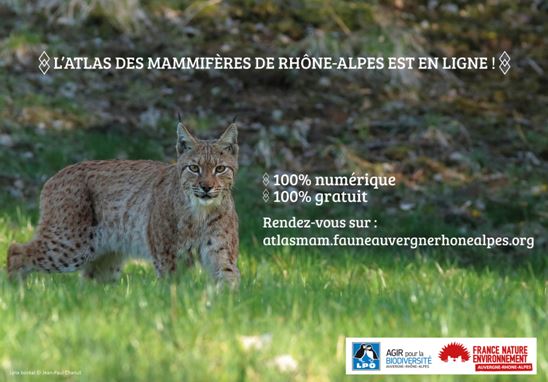 La LPO AuRA et FNE AuRA créent l’atlas des mammifères de Rhône-Alpes