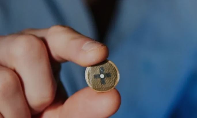 BEFC invente une pile biosourcée