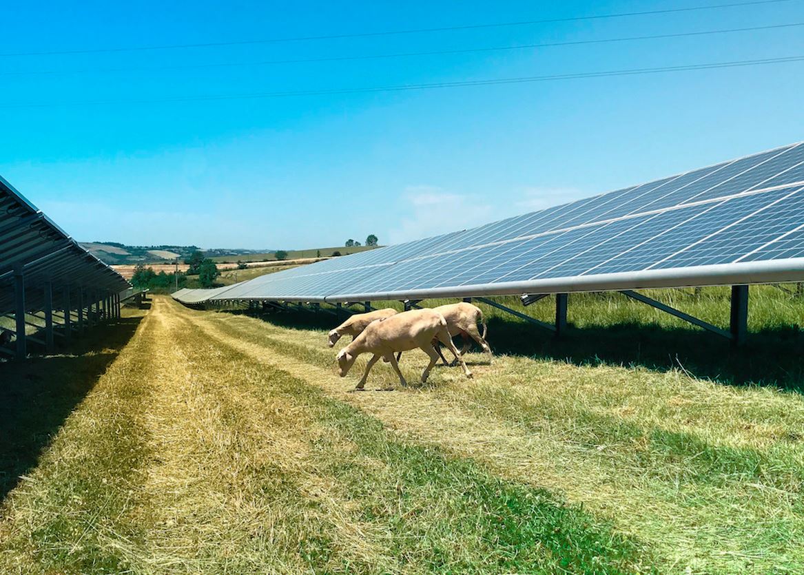 Boralex fournira de l’électricité décarbonée à Métro France